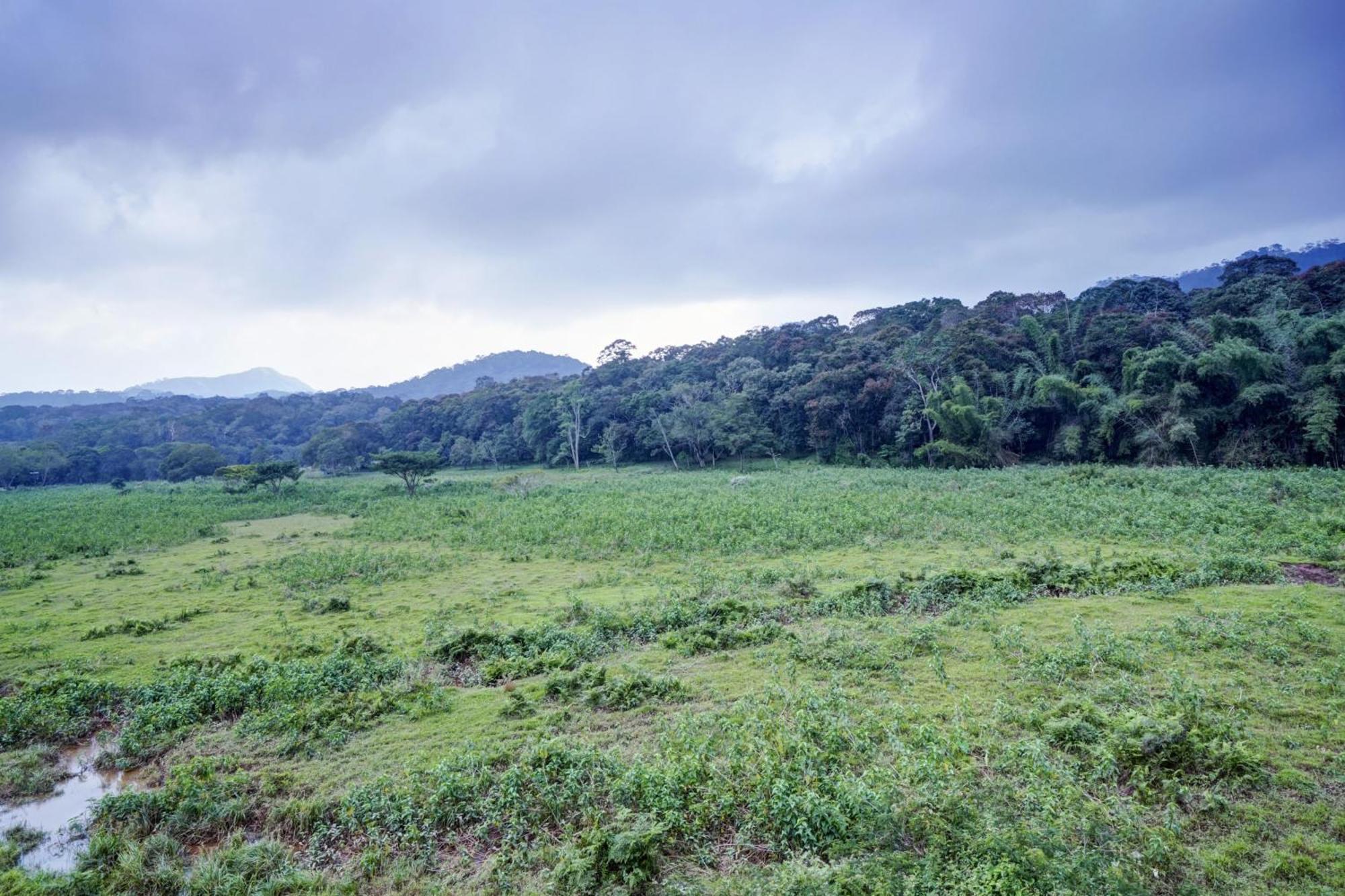 Oyo Flagship Meadow View Inn Thekkady Exterior photo